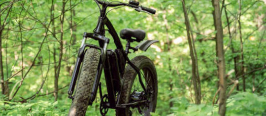 fatbike2